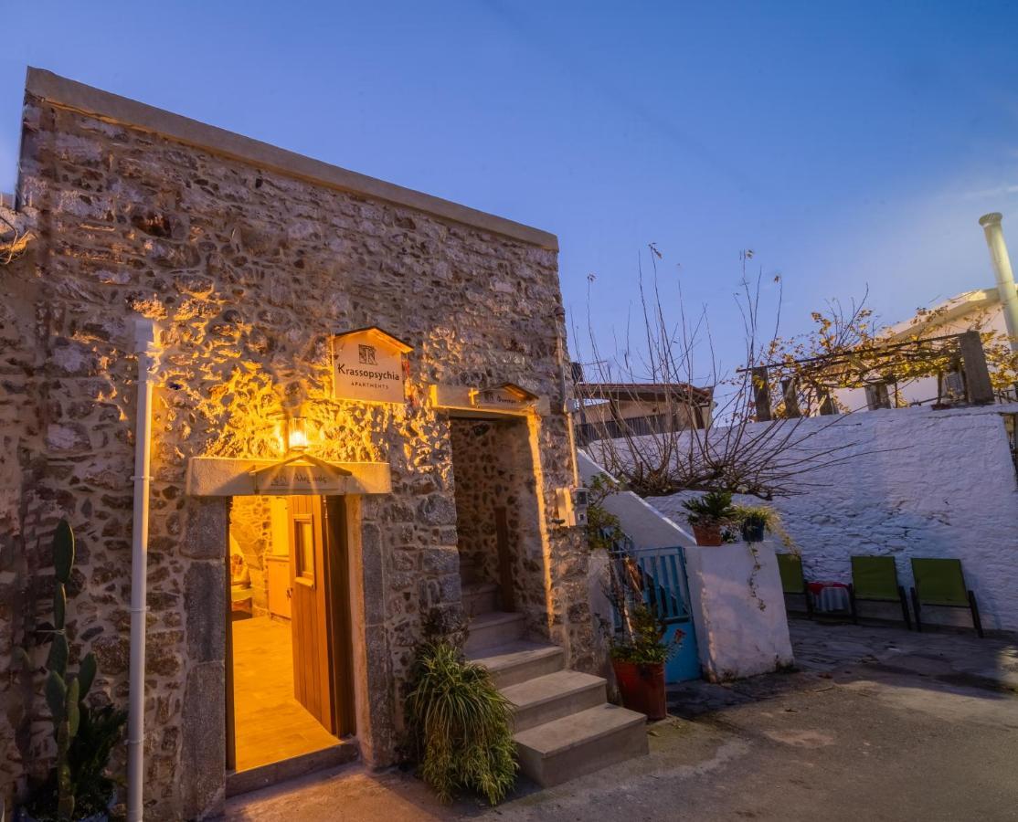 Πανσιόν Krassopsychia Krasi